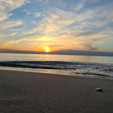 Wanilia 科沃布热格