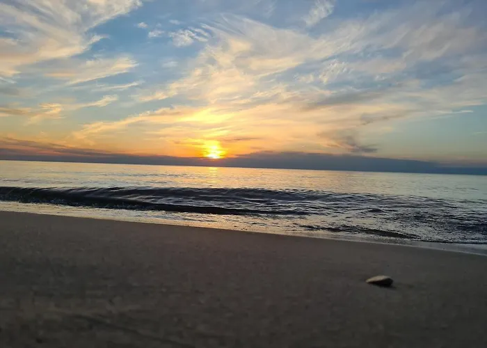 Wanilia コウォブジェク